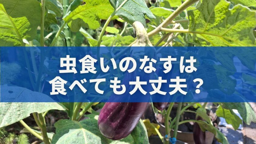 虫食いのなすは食べても大丈夫？