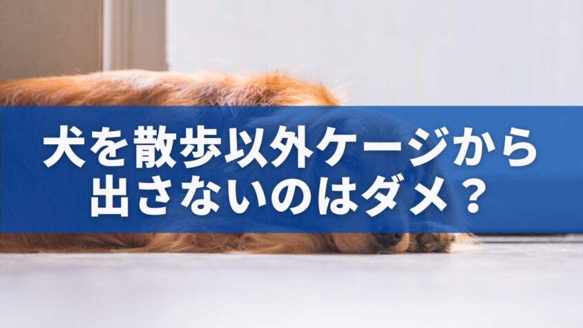 犬を散歩以外ケージから 出さないのはダメ？
