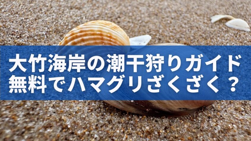 大竹海岸の潮干狩りガイド無料でハマグリざくざく